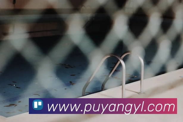 App Interface Preview