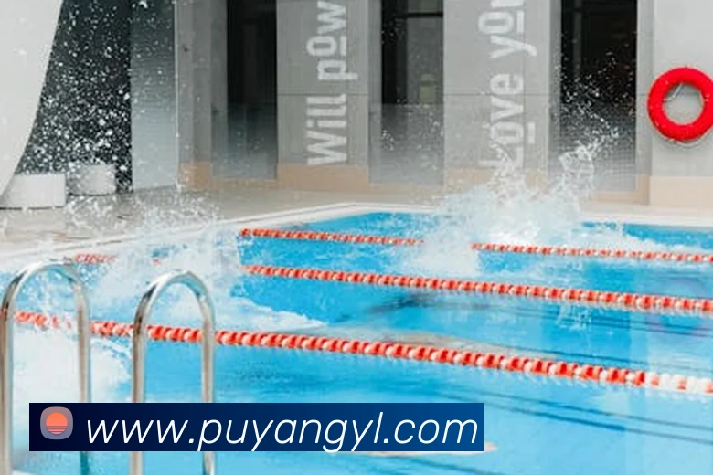 半岛官网首页APP 封面图